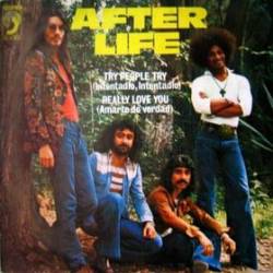 After Life (FRA) : Try People Try - Really Love You